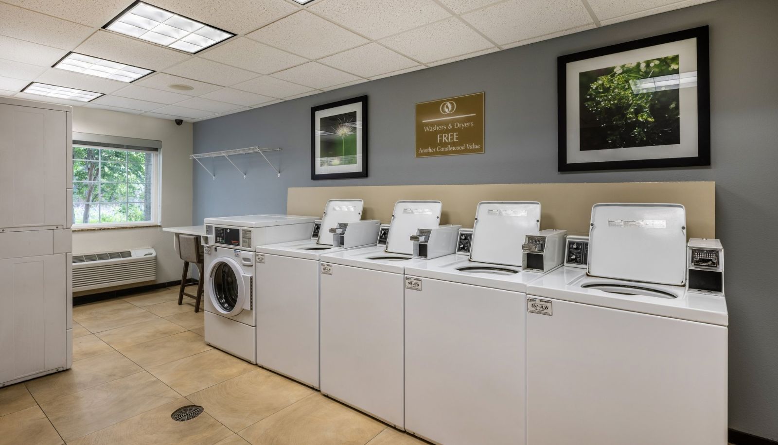 Innenbreich - Candlewood Suites BLUFFTON-HILTON HEAD by IHG