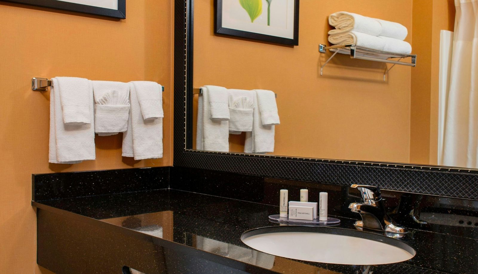 Zimmer - Fairfield Inn and Suites by Marriott Santa Rosa Sebastopol