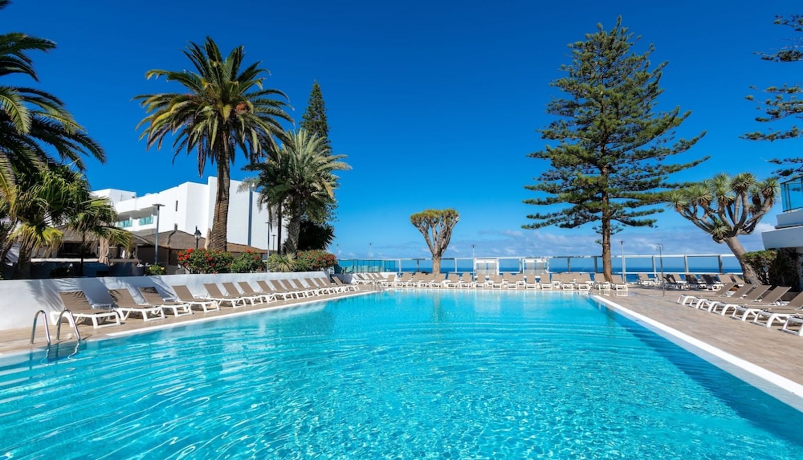 Piscina - Hotel Best Semiramis