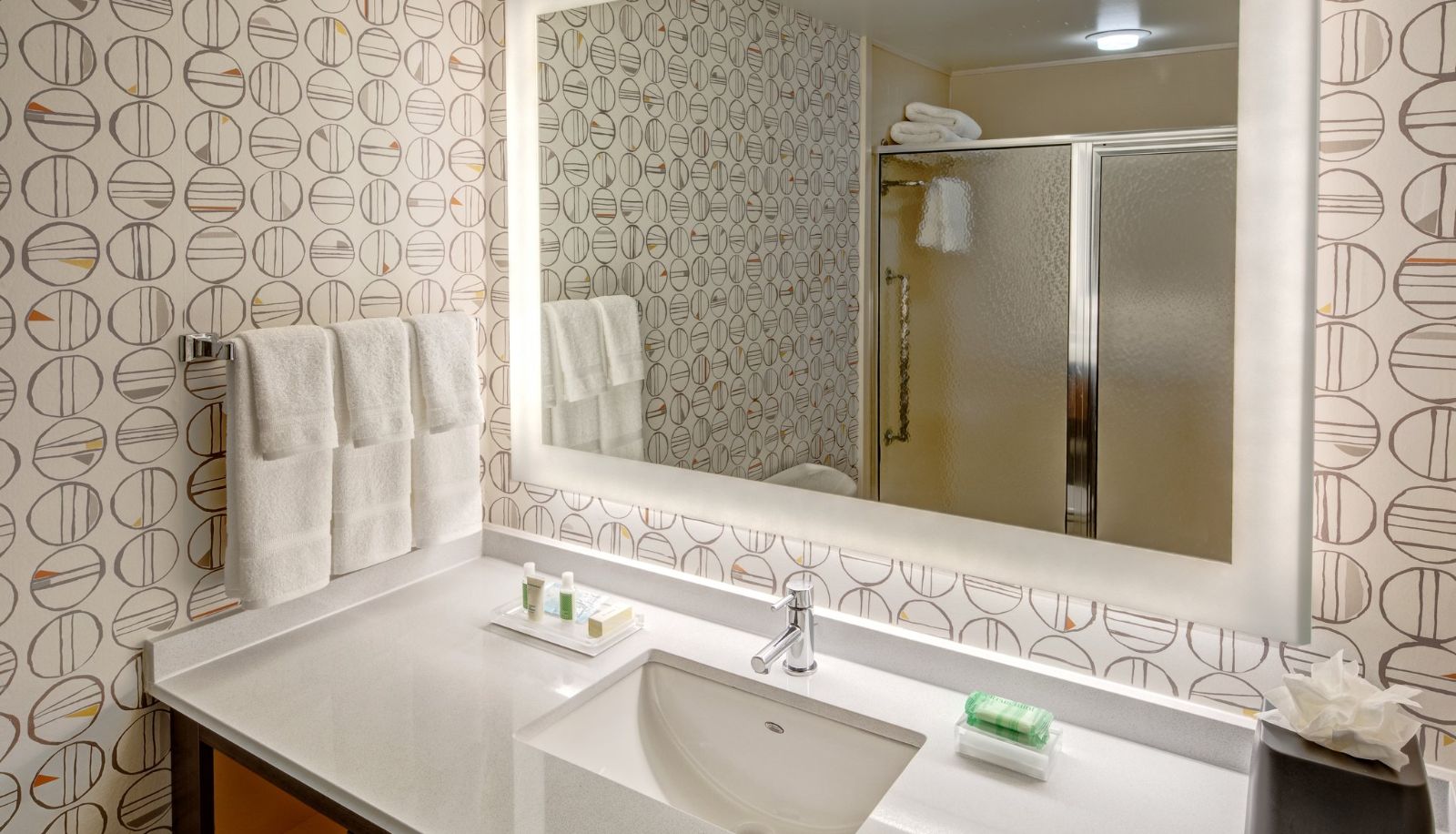 Kamer - Holiday Inn ROCKY MOUNT - I-95 AT US 64 by IHG