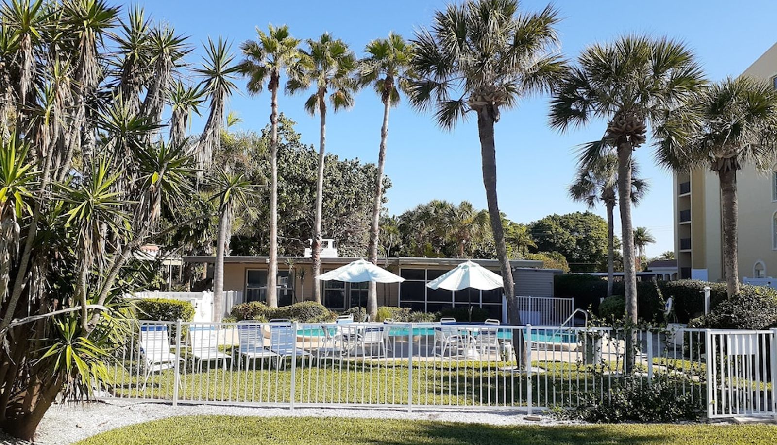 Pool - Turtle Crawl Inn