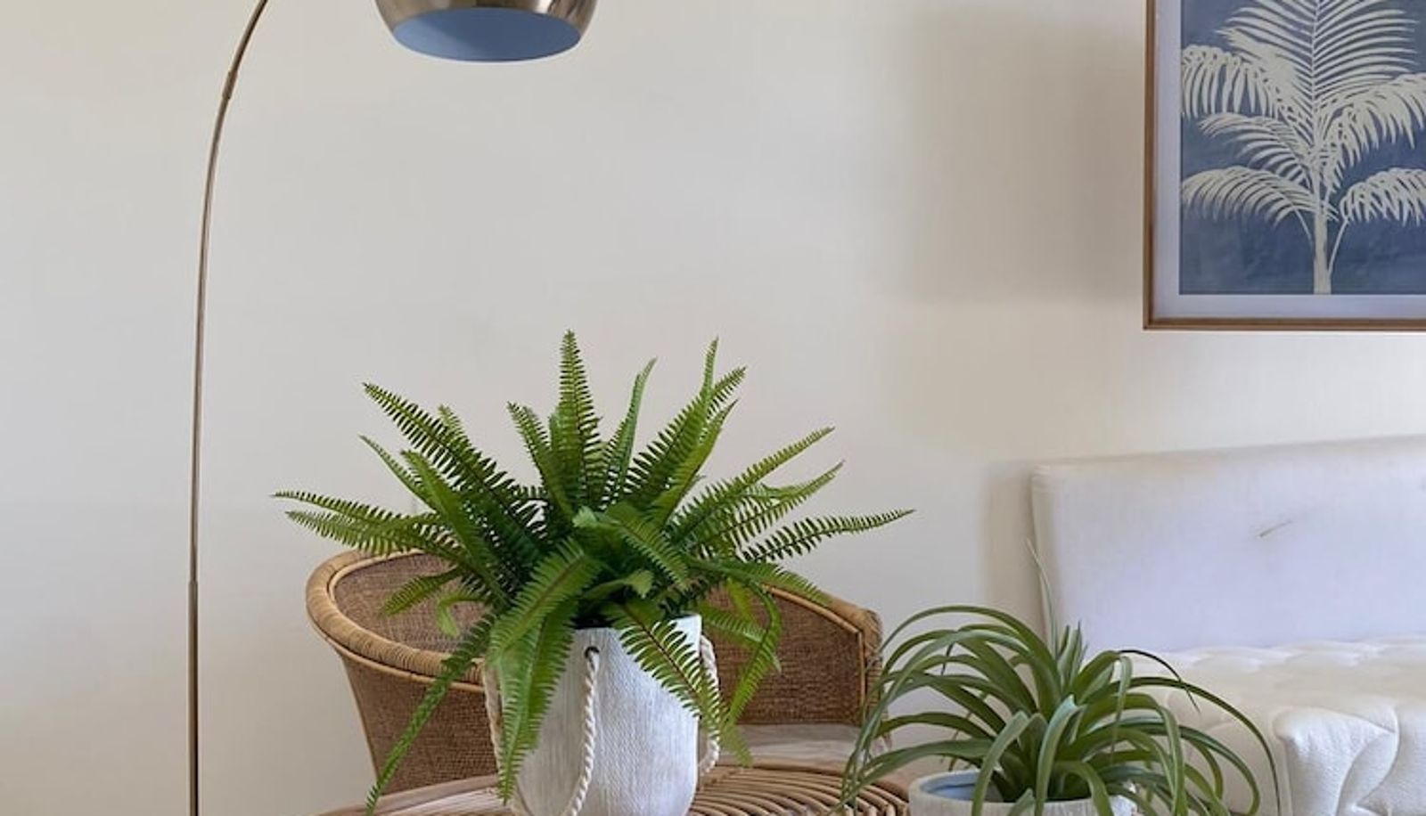 Standardzimmer - Tenuta Centoporte