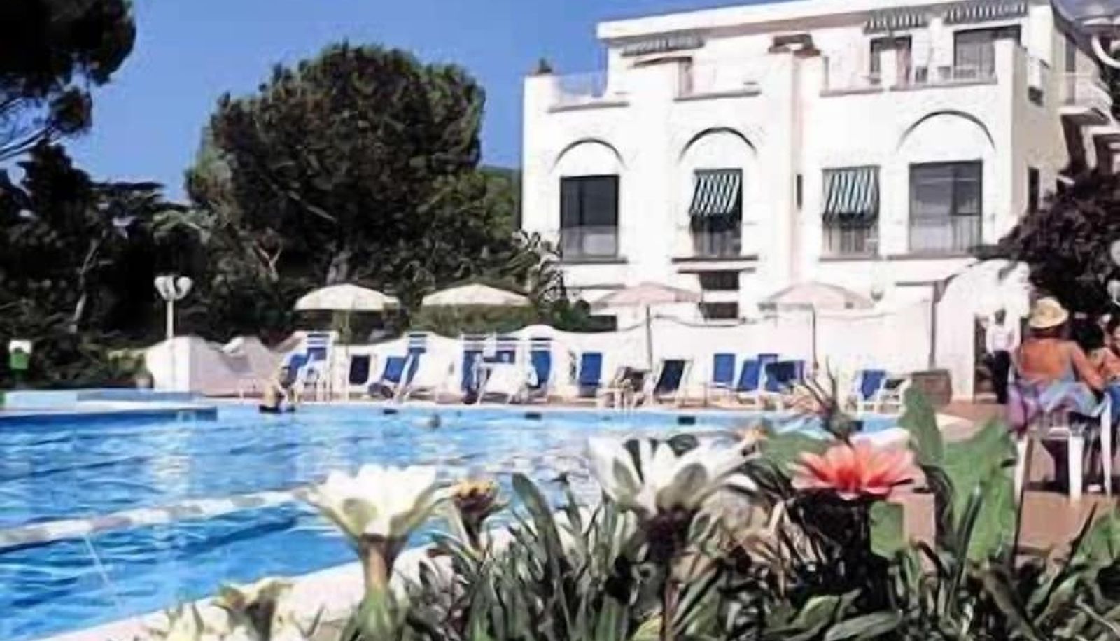 Pool - Hotel San Michele