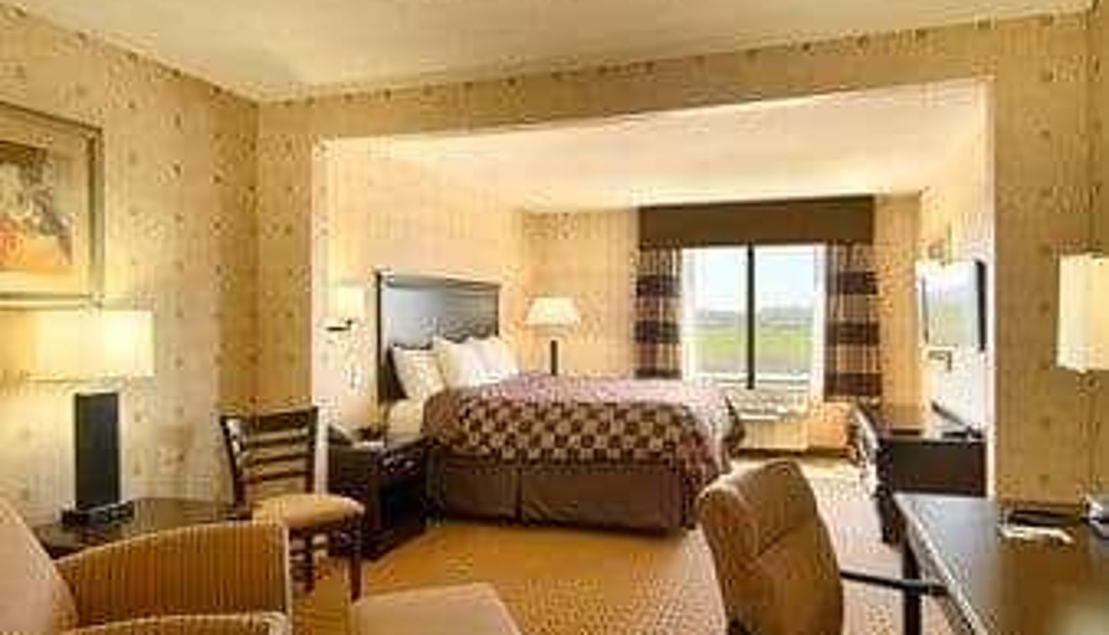 Camera superior (doppia) - Wingate by Wyndham Warner Robins