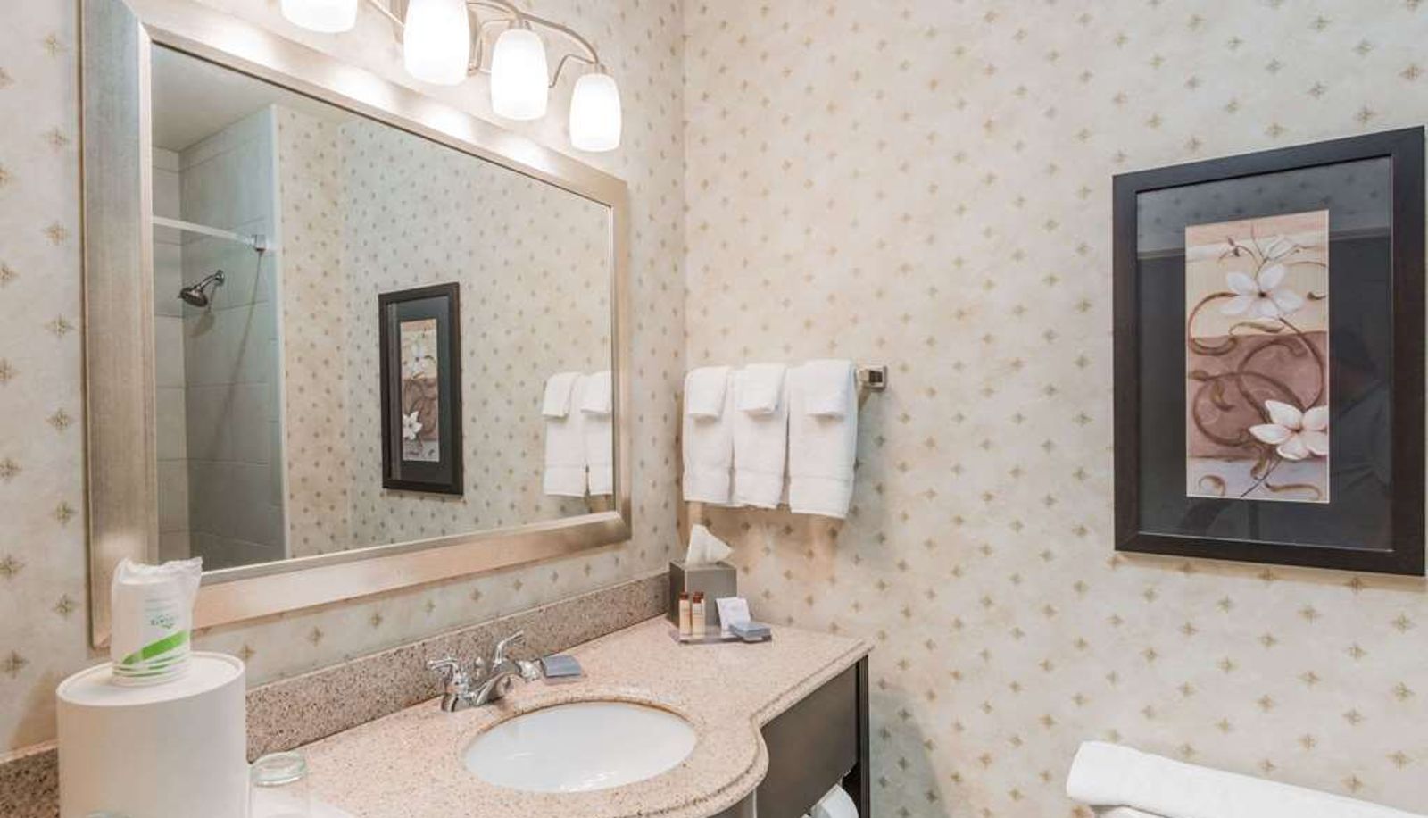 Zimmer - Wingate by Wyndham New Braunfels