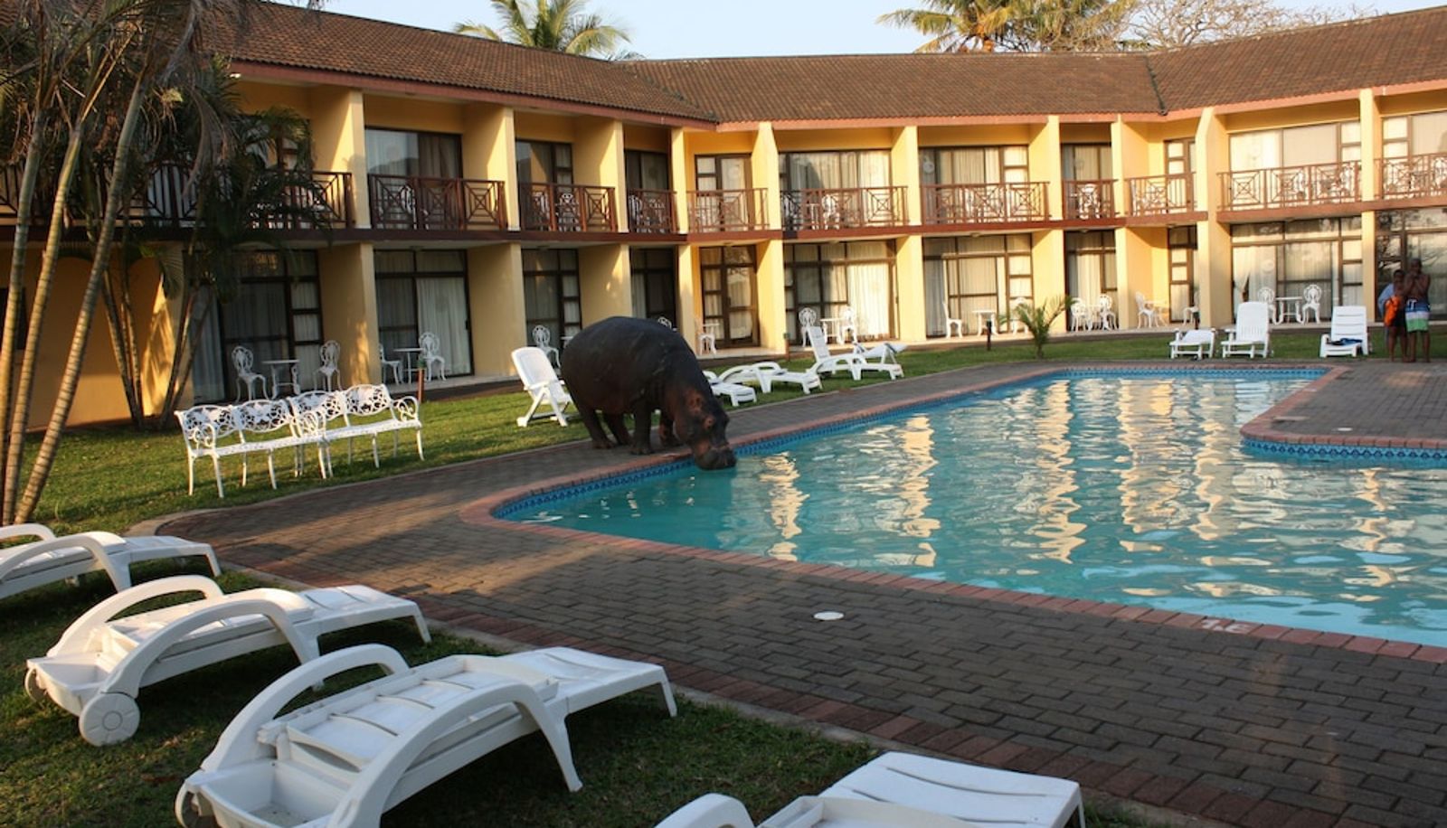 Pool - Elephant Lake Hotel