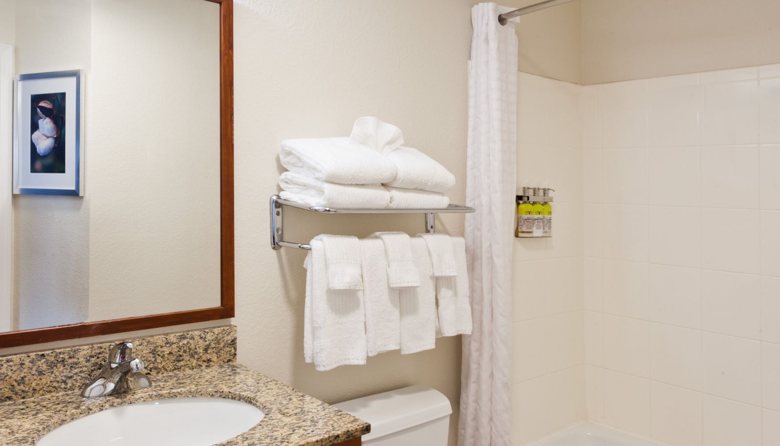 Kamer - Candlewood Suites EASTCHASE PARK by IHG