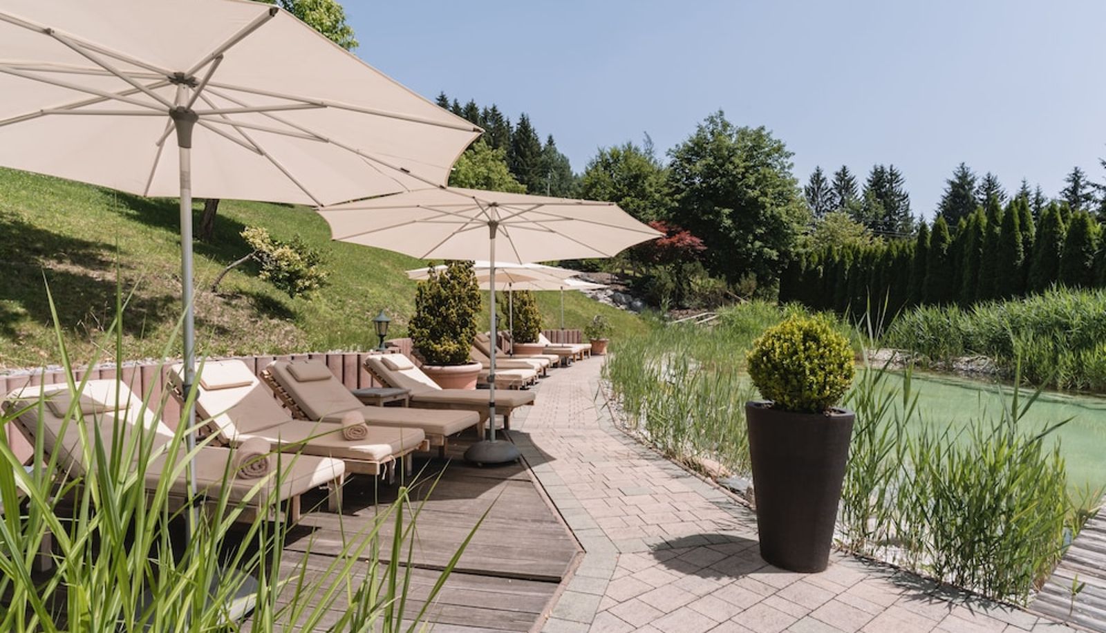 Piscina - Hotel Leitenhof SUPERIOR