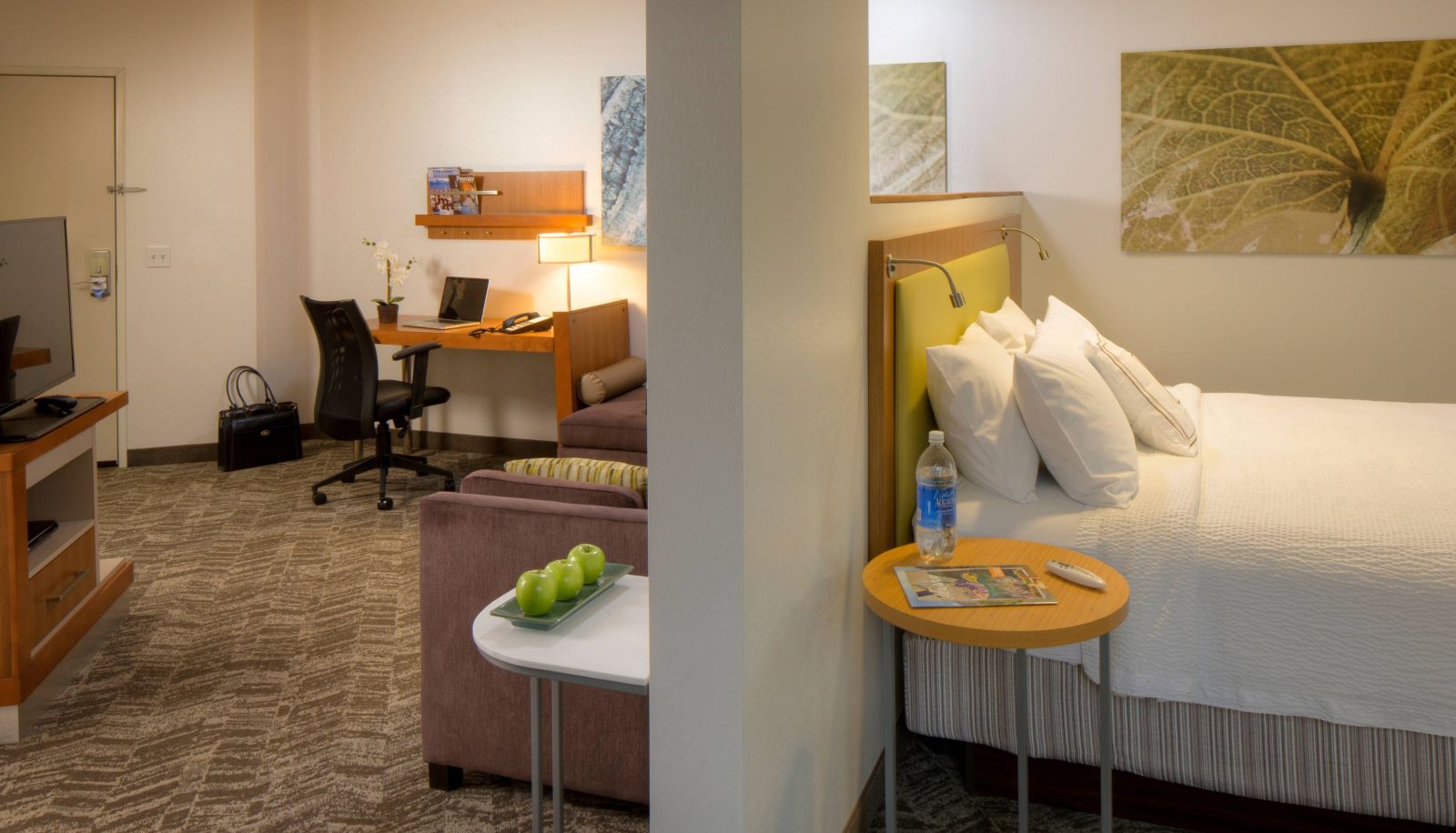Room - SpringHill Suites by Marriott Anchorage University Lake