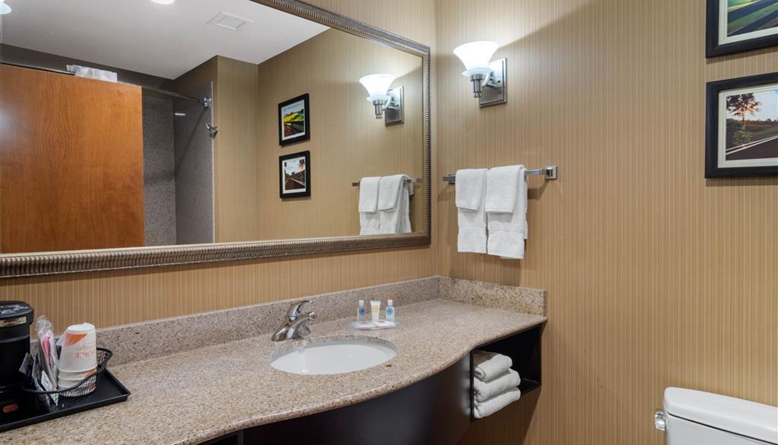 Pokój - Comfort Suites Byron Warner Robins