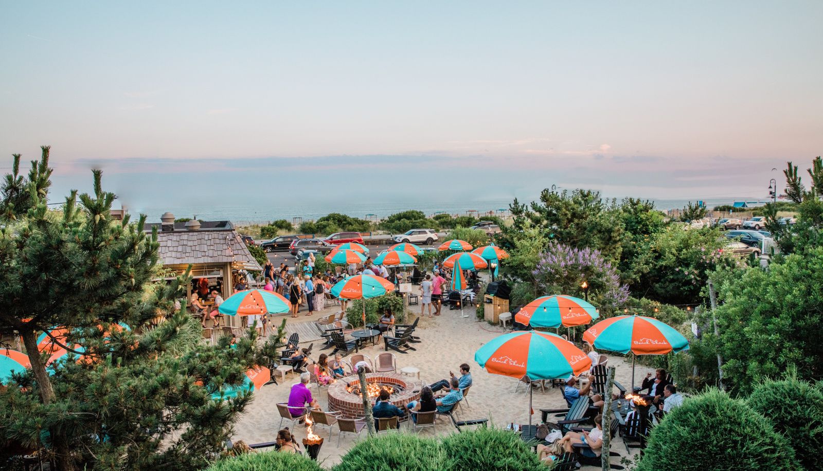 Bar - Beach Shack