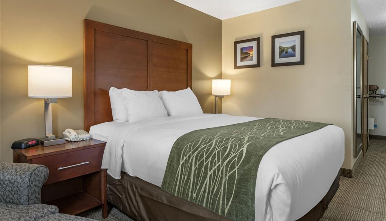 Room - Comfort Inn & Suites Dimondale - Lansing