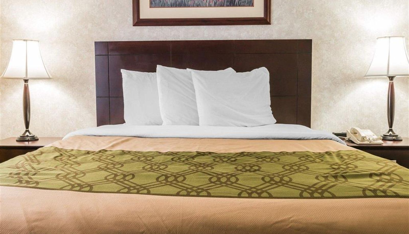Chambre - Econo Lodge & Suites Grand Rapids Airport