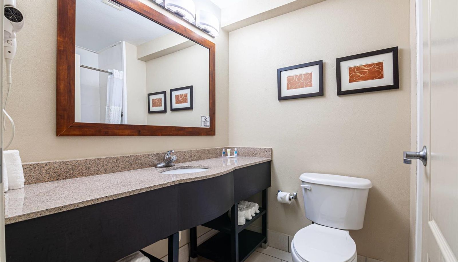 Zimmer - Comfort Suites Morrow- Atlanta South