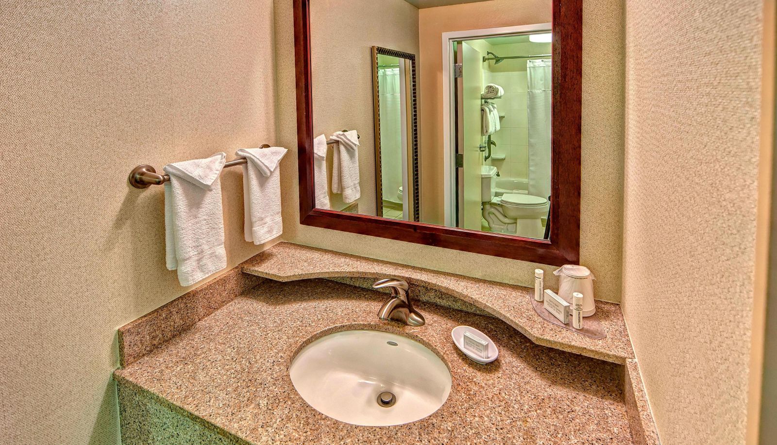 Room - SpringHill Suites by Marriott Norfolk Old Dominion University