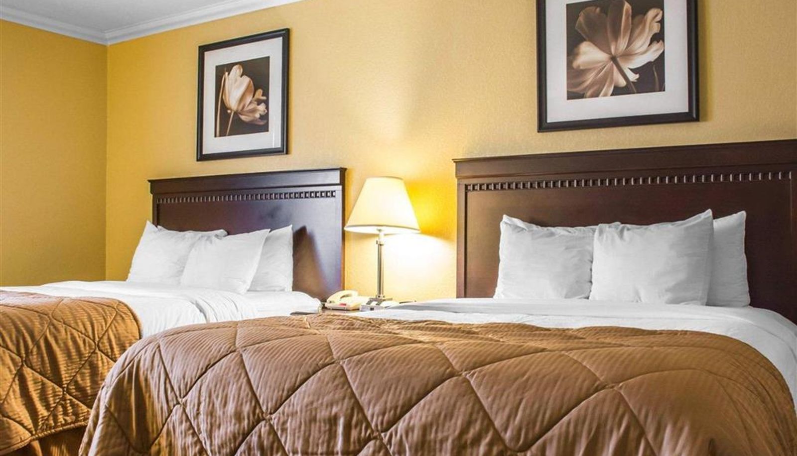Suite - Quality Inn & Suites Syracuse Fairgrounds
