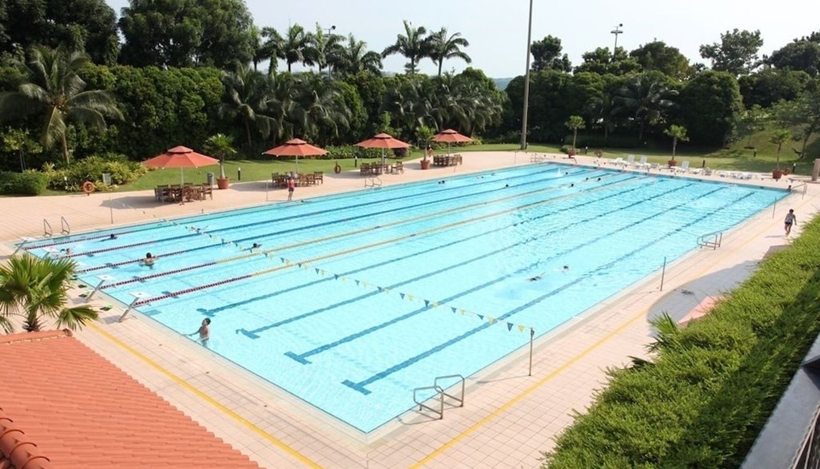 Pool - Orchid Country Club