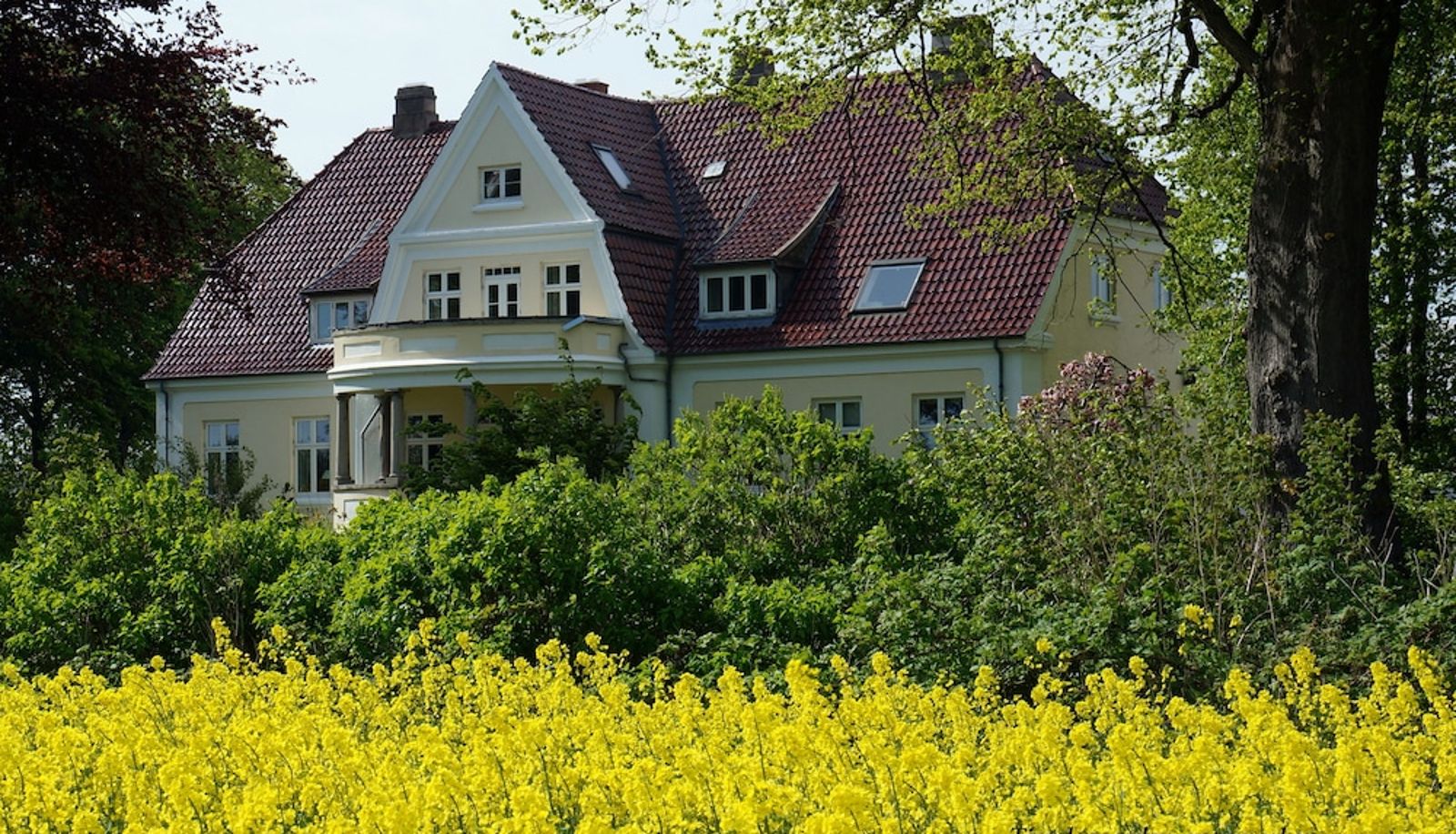 Ogród - Tiendegaarden