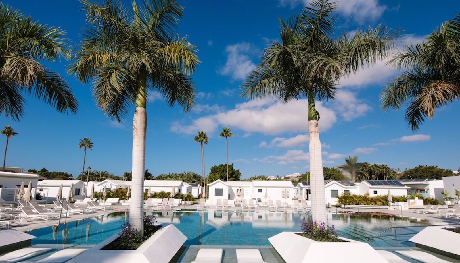 Piscina - Club Maspalomas Suites & Spa - Adults Only