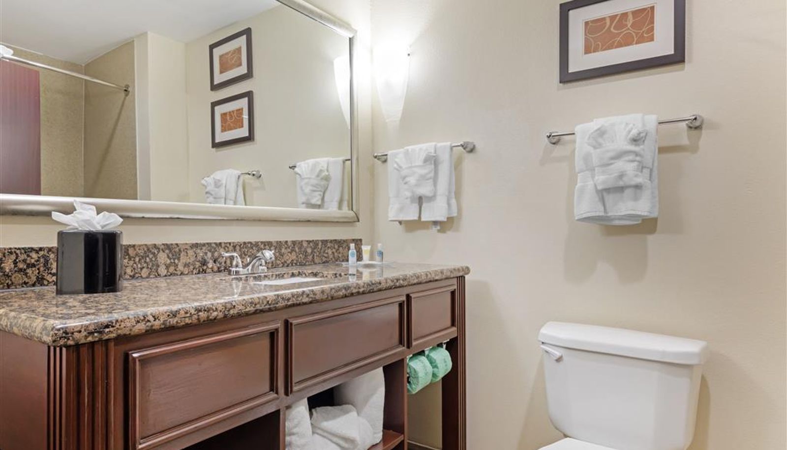 Kamer - Comfort Suites West Dallas - Cockrell Hill