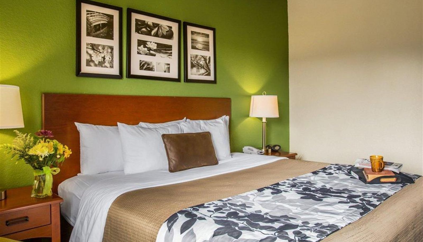 Habitación - Sleep Inn & Suites Gonzales near Palmetto State Park