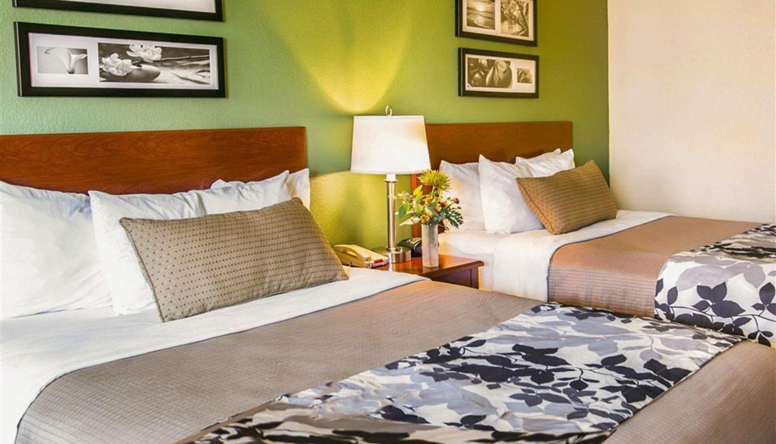 Habitación - Sleep Inn & Suites Gonzales near Palmetto State Park