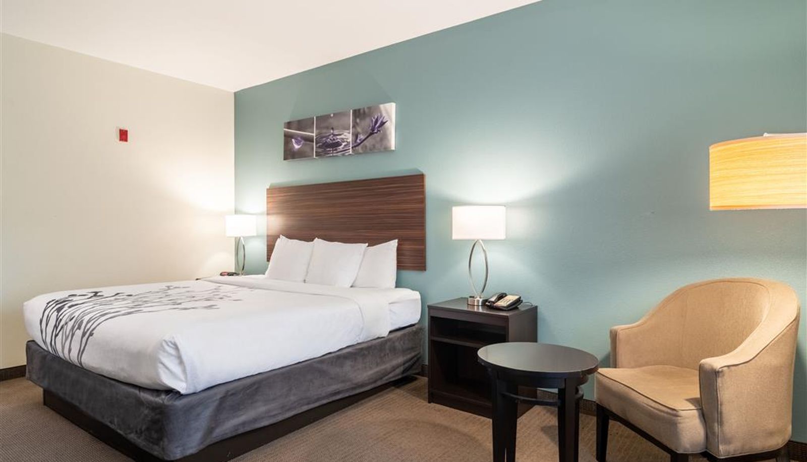 Camera - Sleep Inn & Suites At Kennesaw State University