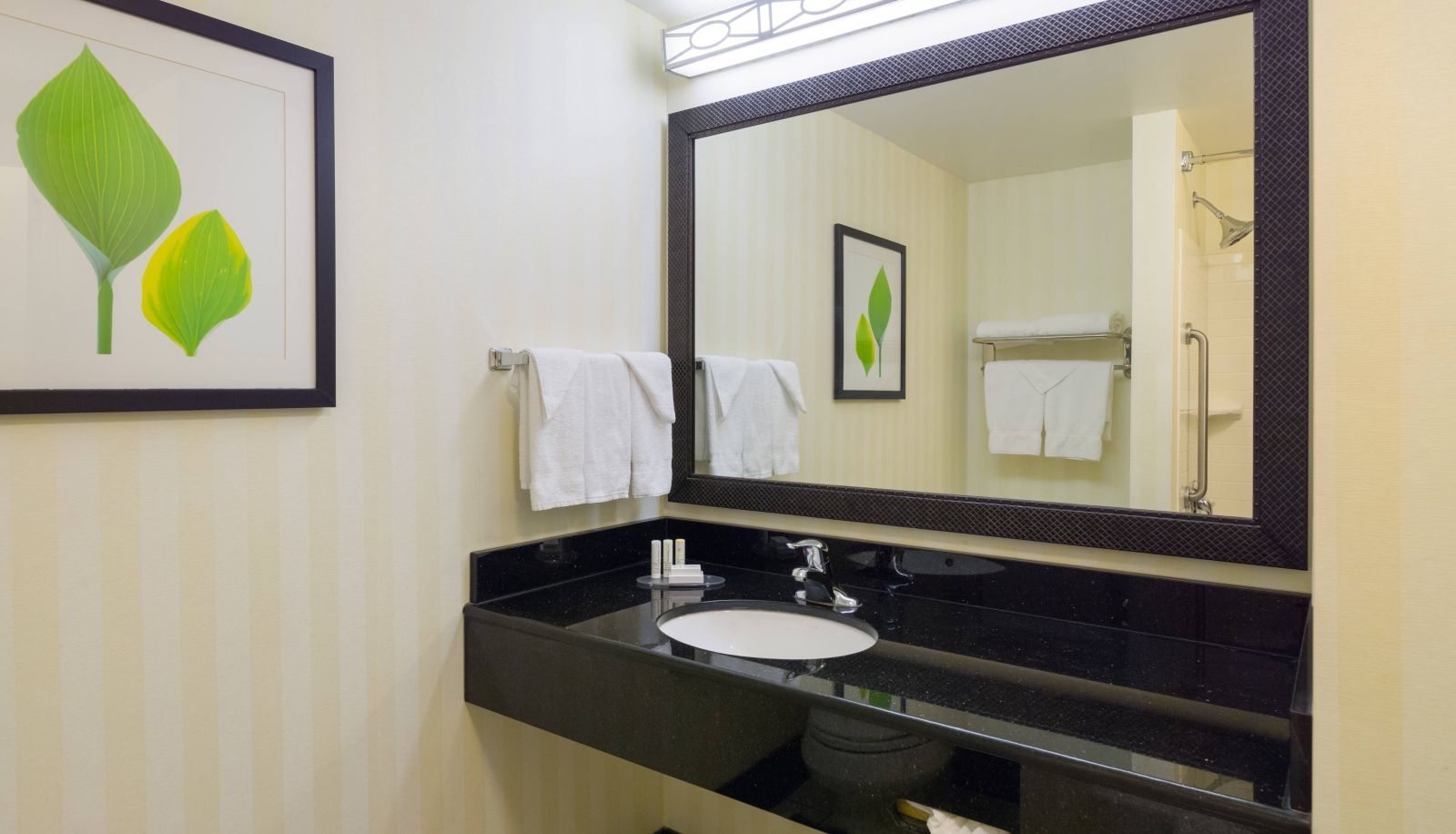 Zimmer - Fairfield Inn and Suites by Marriott Lock Haven