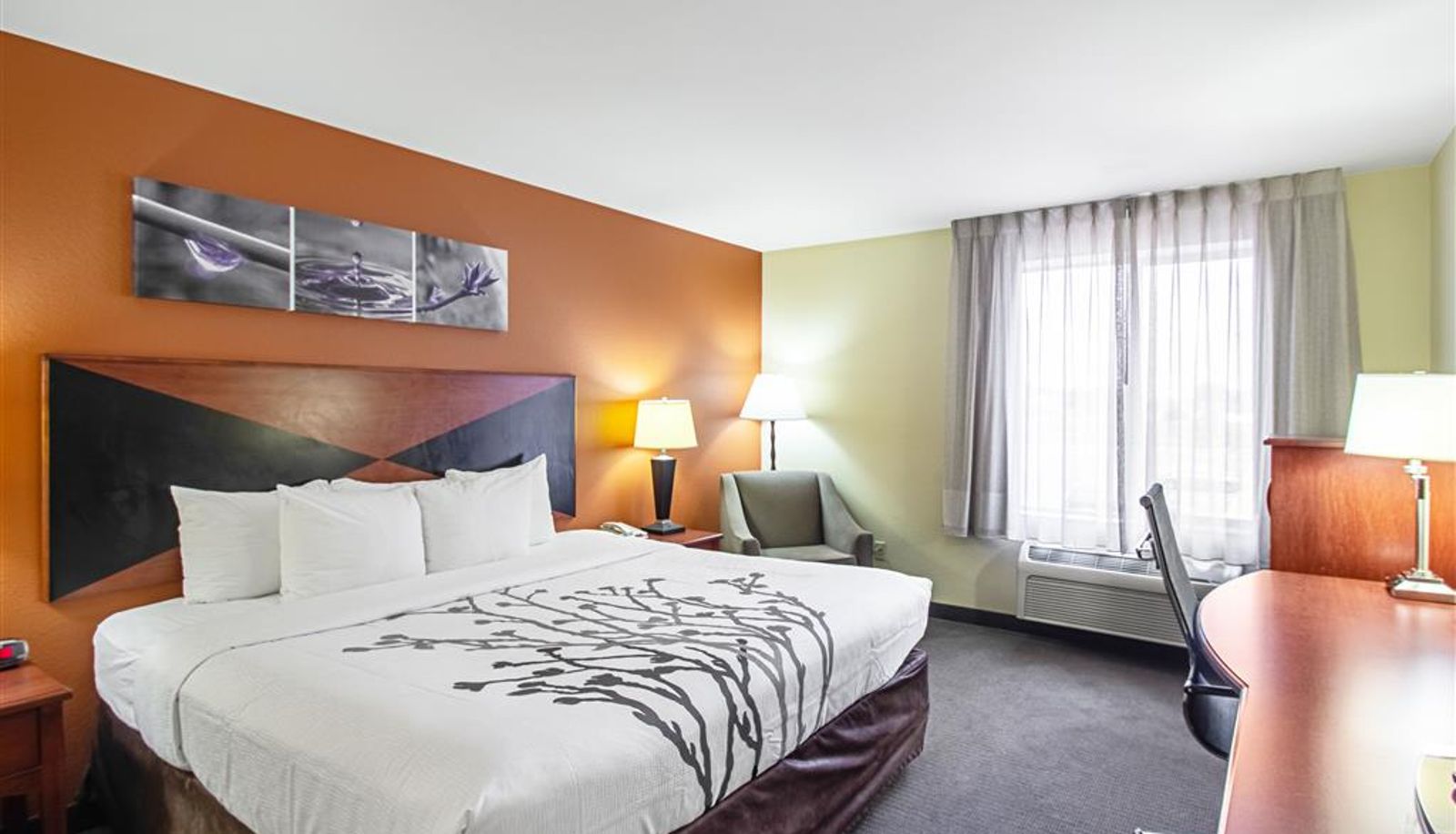 Zimmer - Sleep Inn & Suites Madison - Monona