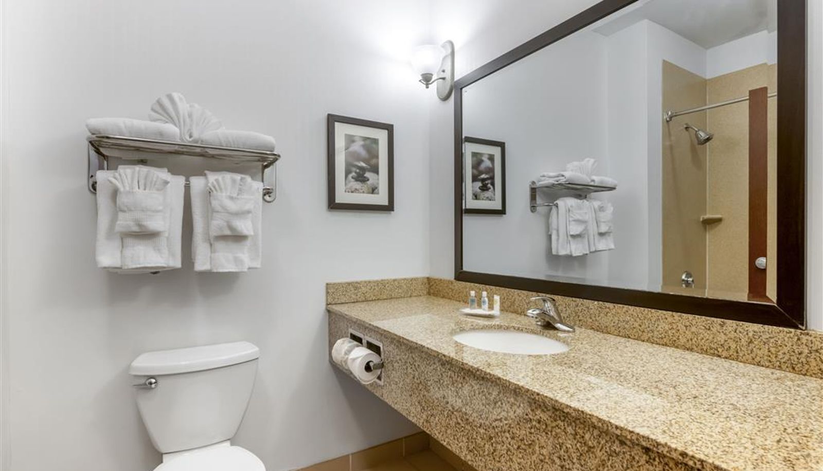 Kamer - Comfort Suites Conference Center Rapid City