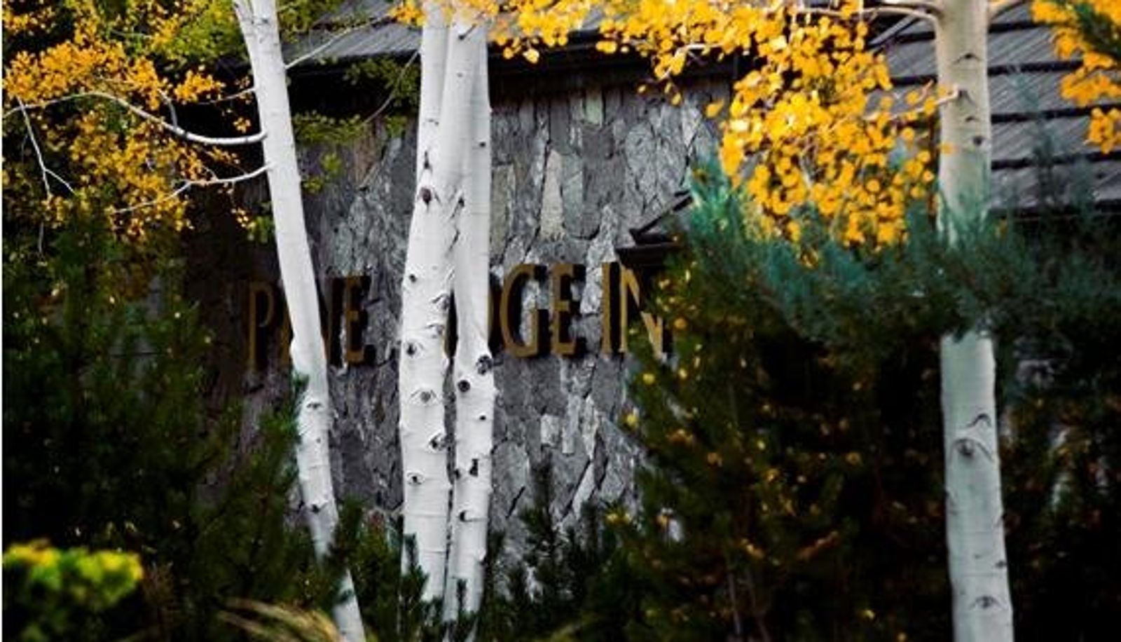 Hal - Pine Ridge Inn