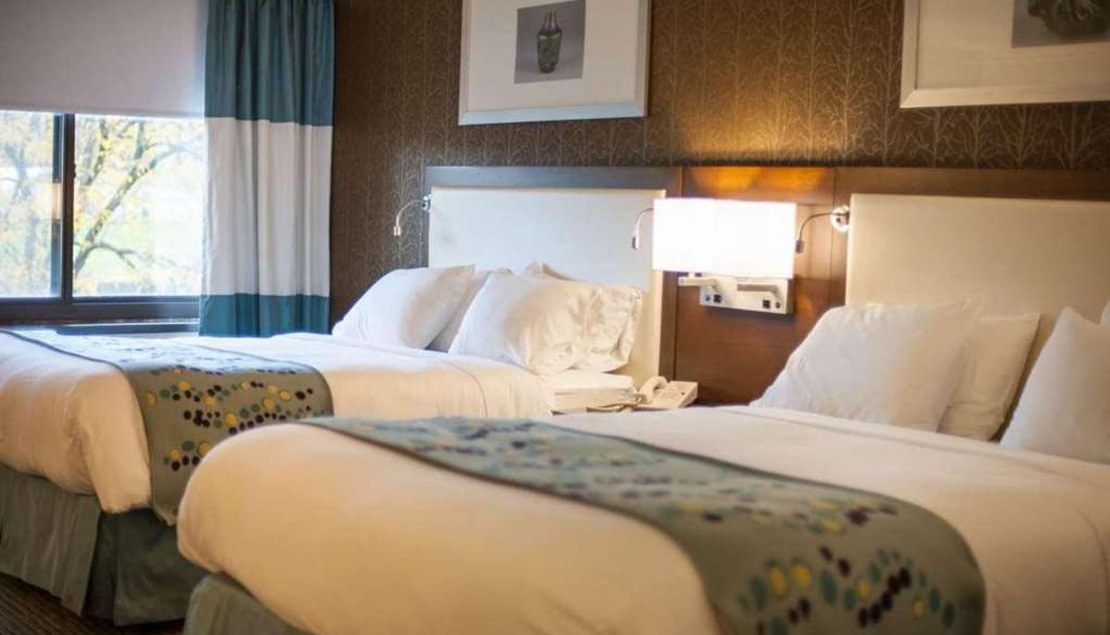 Habitación - Radisson Hotel Corning