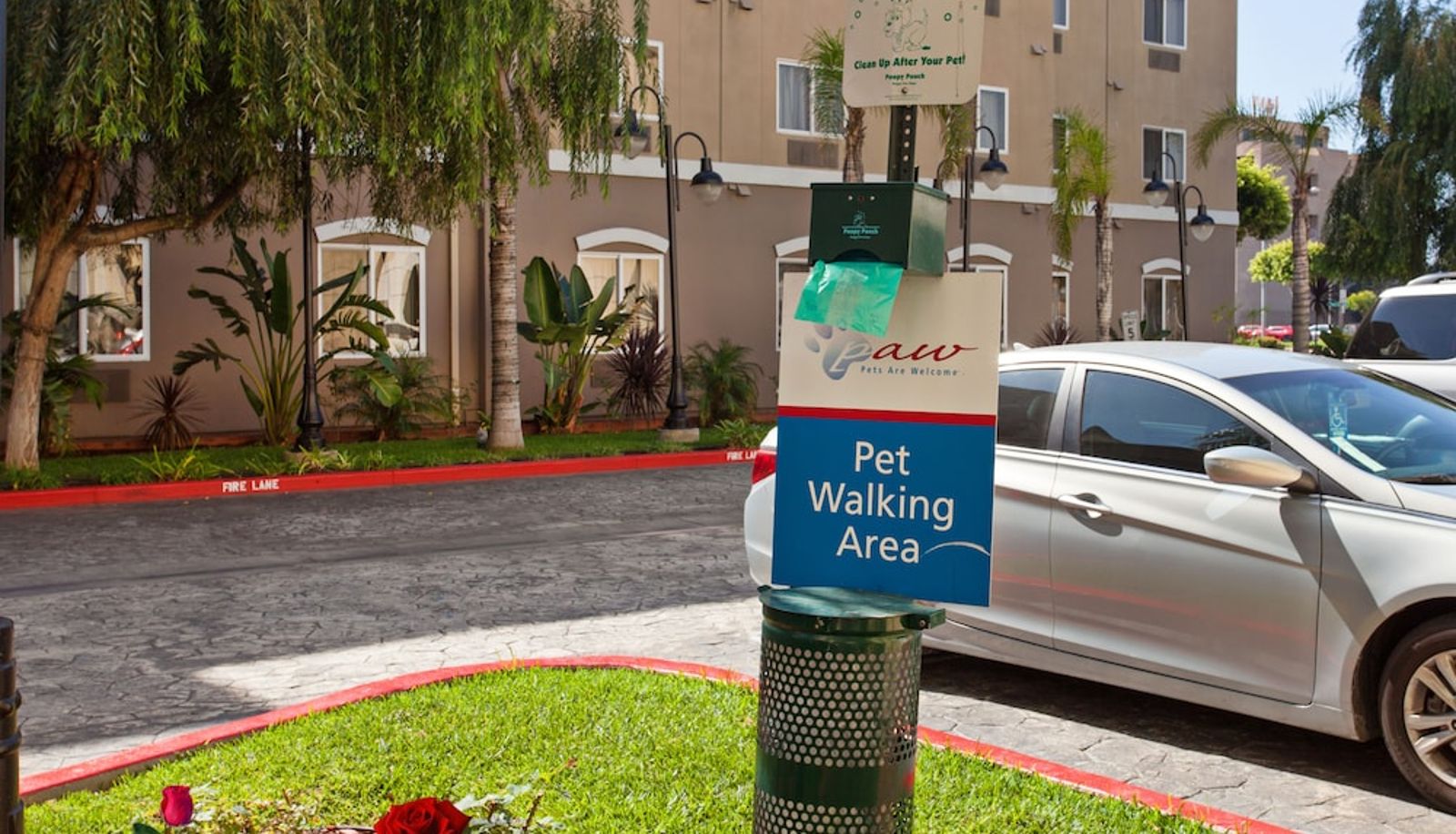 Ogród - Candlewood Suites LAX HAWTHORNE by IHG