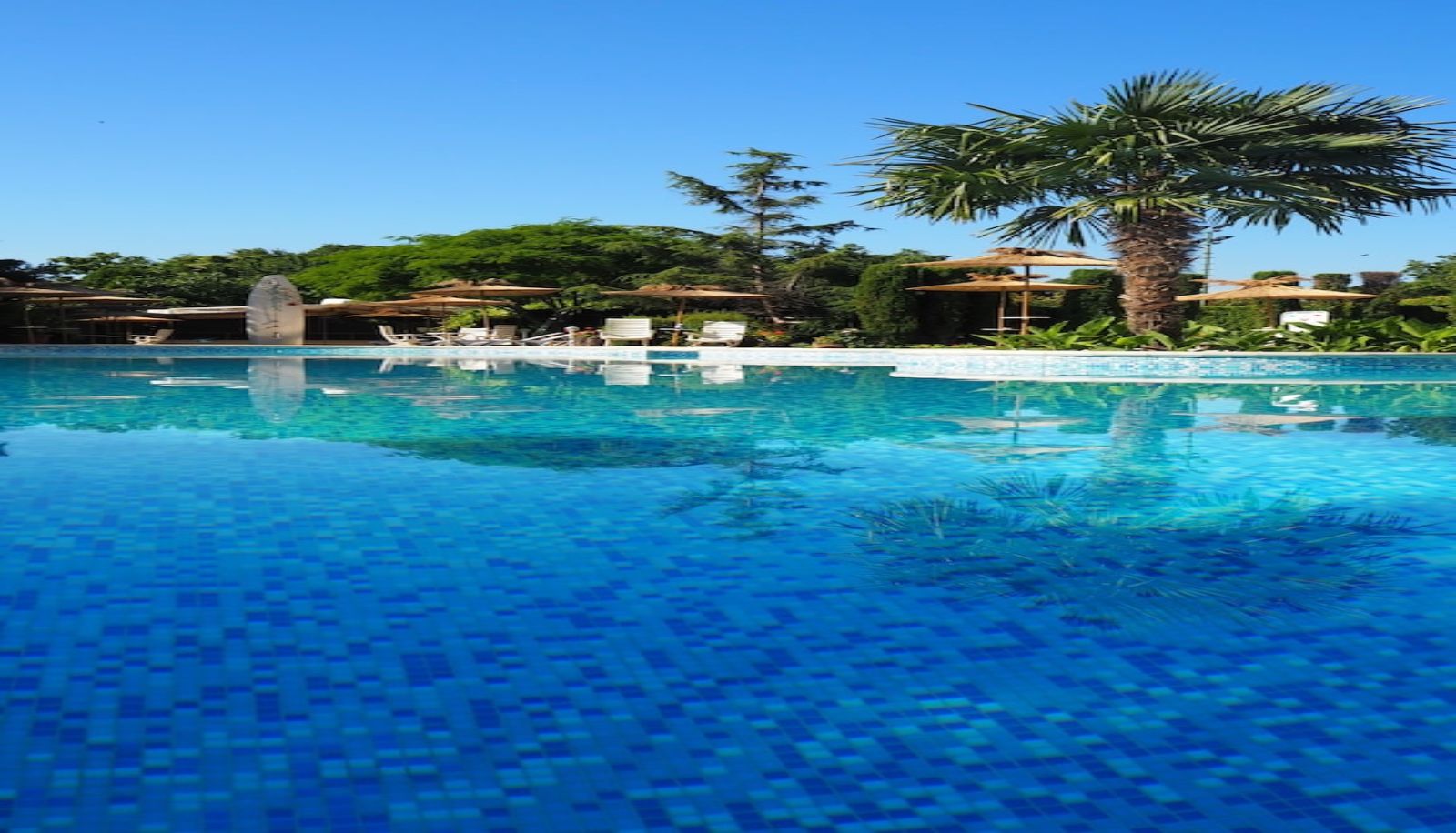 Pool - Joya Park Complex