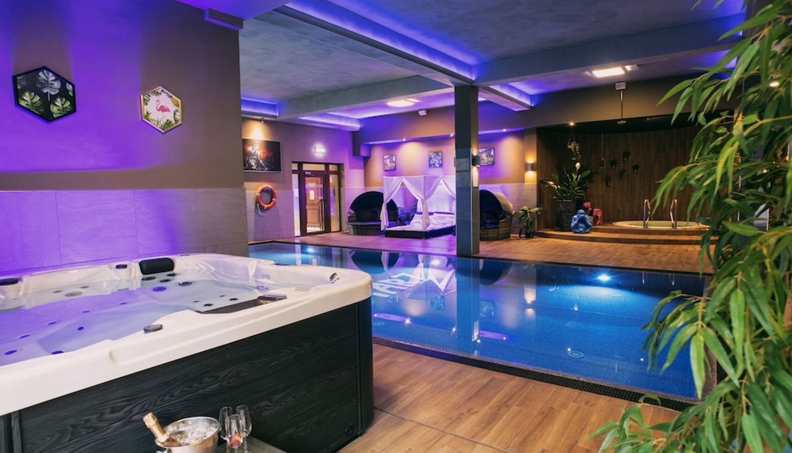 Piscina - Kotarz SPA&Wellnes