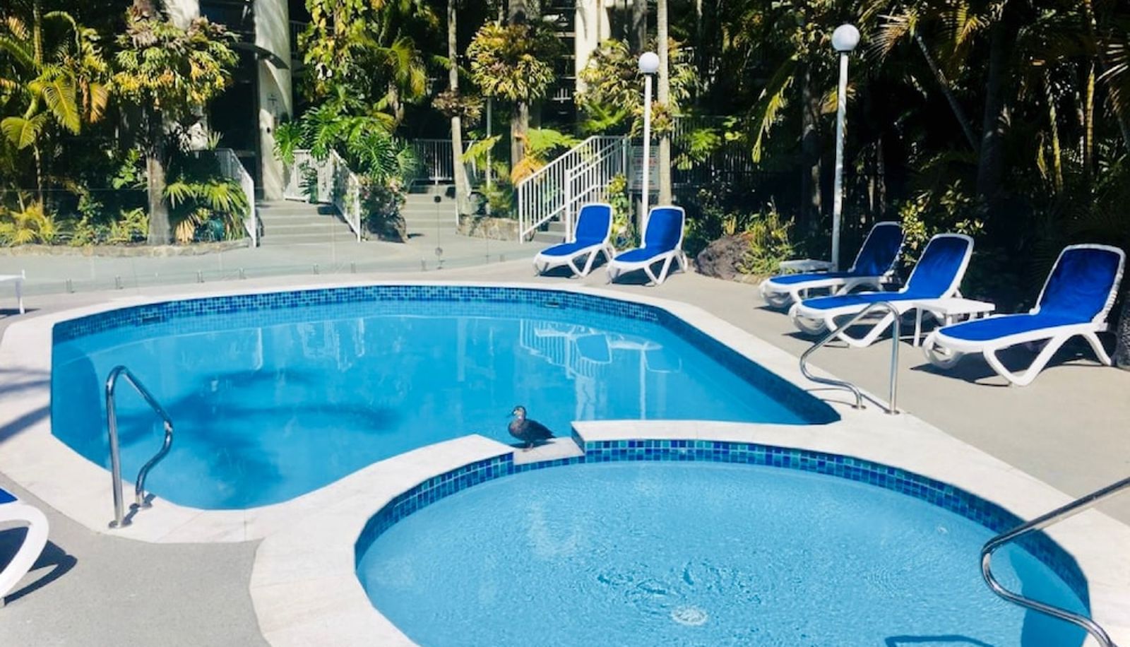 Zwembad - Copacabana Holiday Apartments