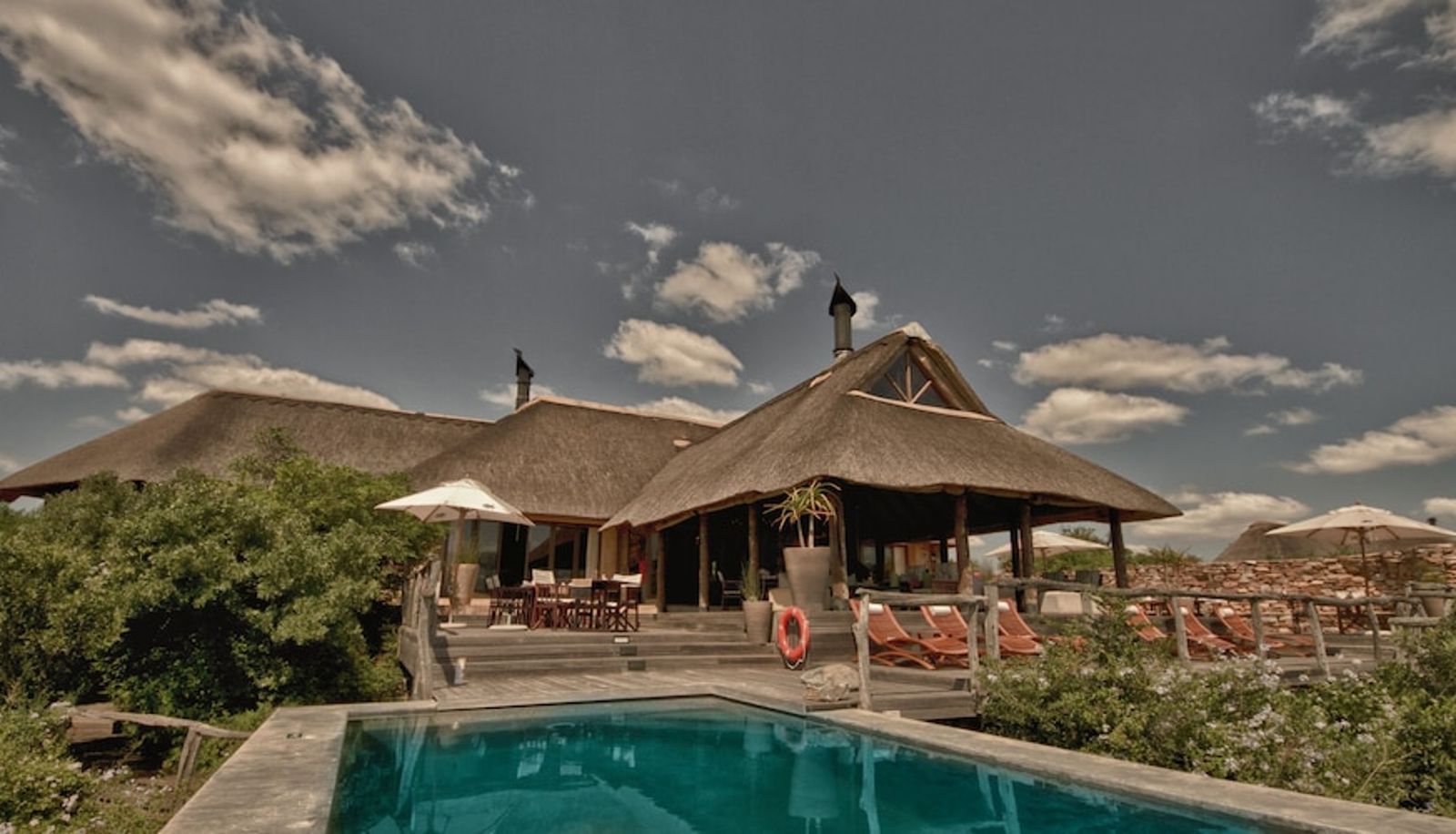 Pool - Pumba Private Game Reserve