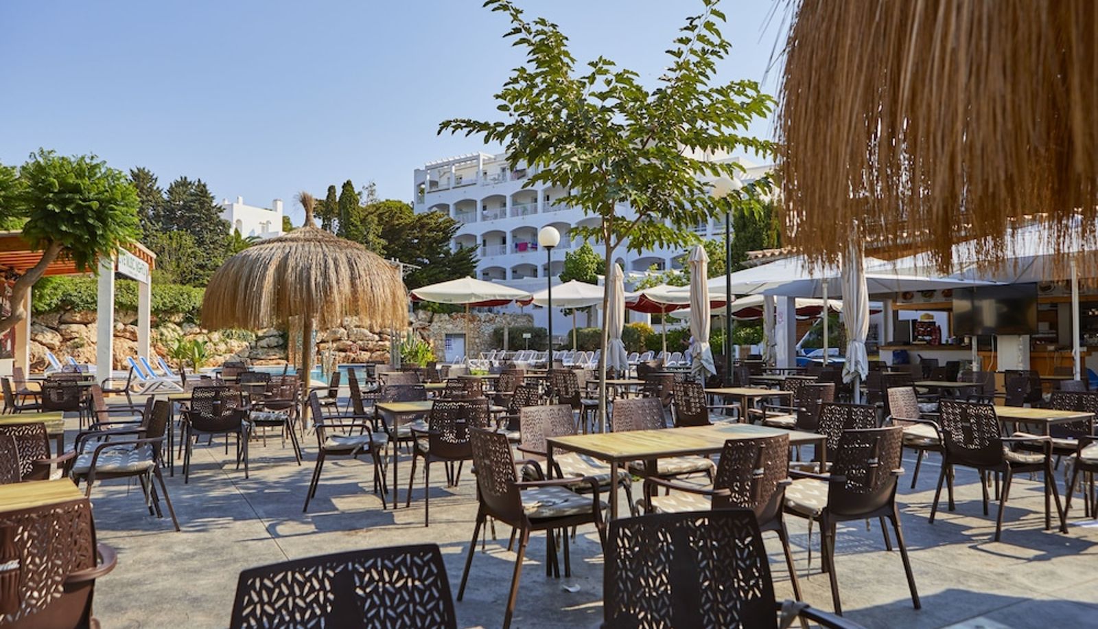 Bar - OLA Apartamentos Cala d'Or