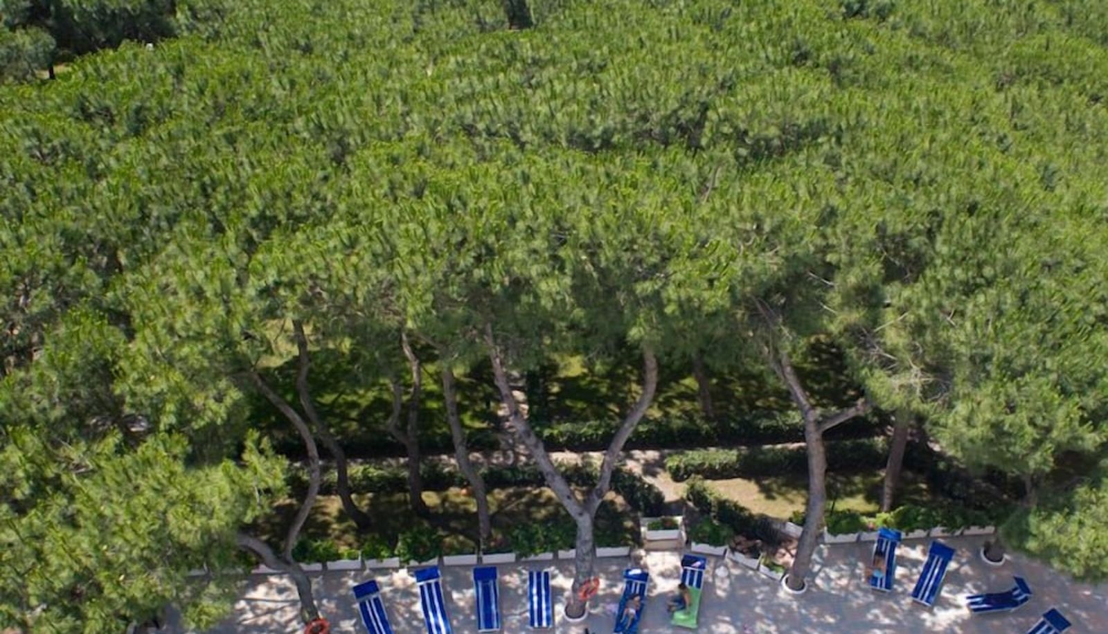 Piscina - Giulivo Hotel & Village