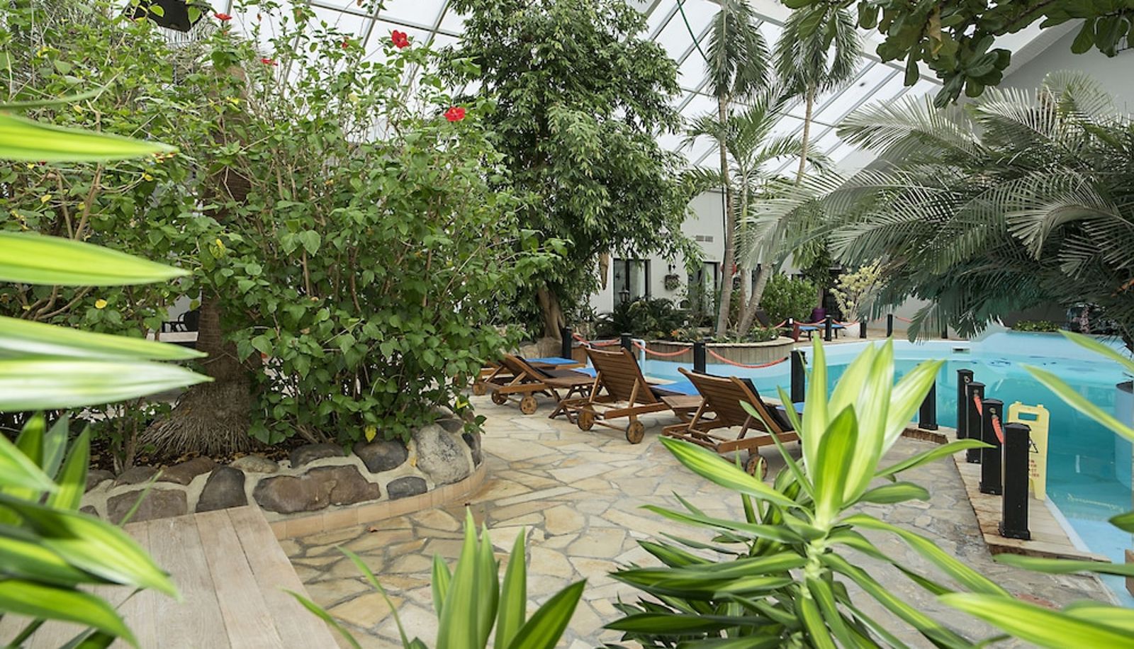 Piscina - Tropical Hotel