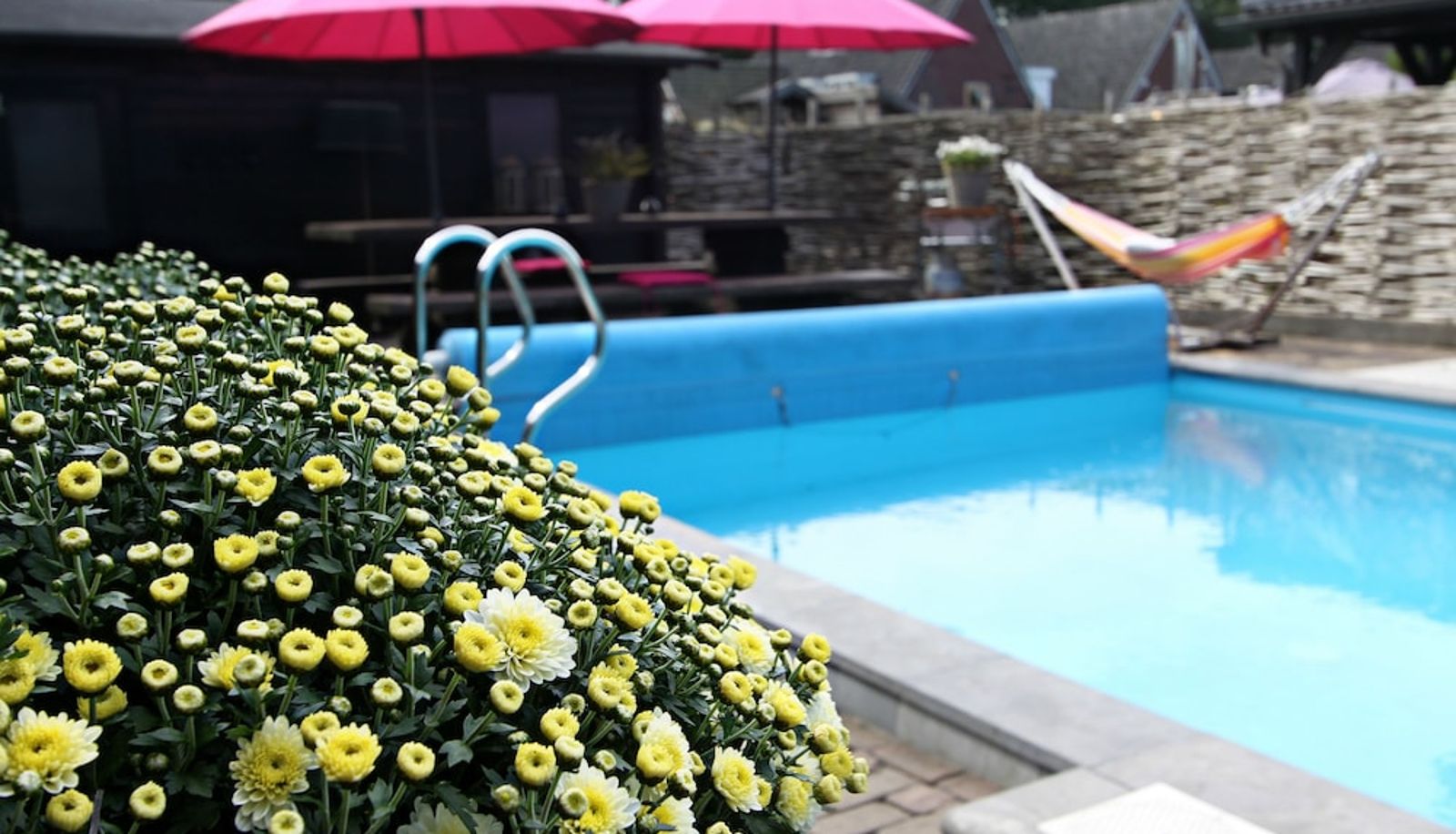 Piscina - Hotel Buxus