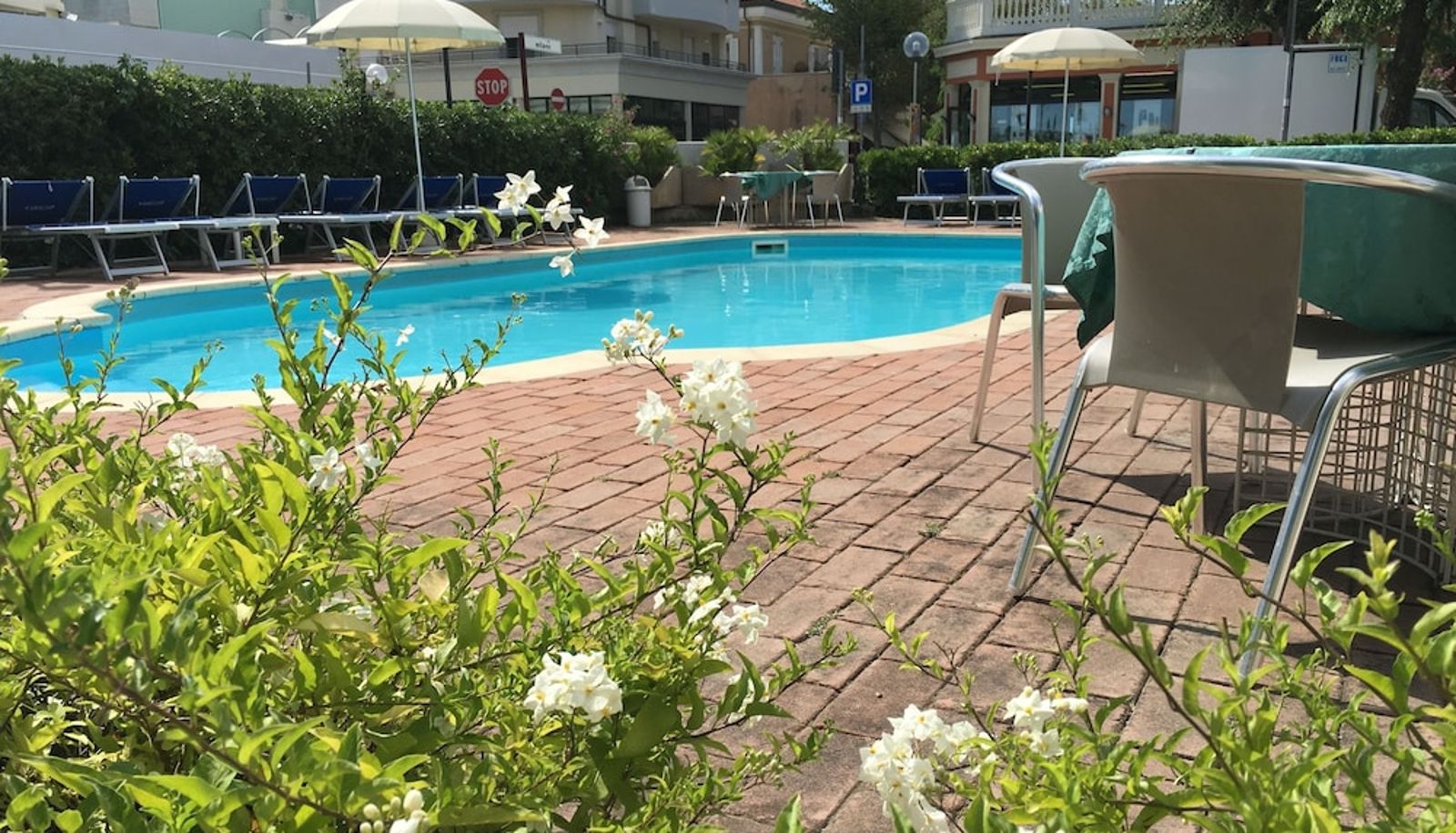 Piscine - Hotel Excelsior