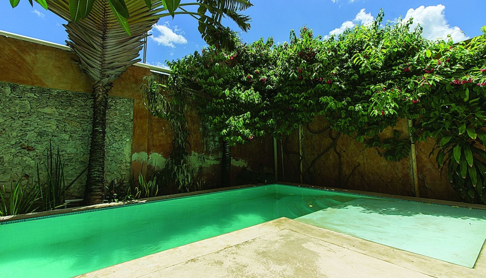 Pool - Hotel Boutique Casa San Angel