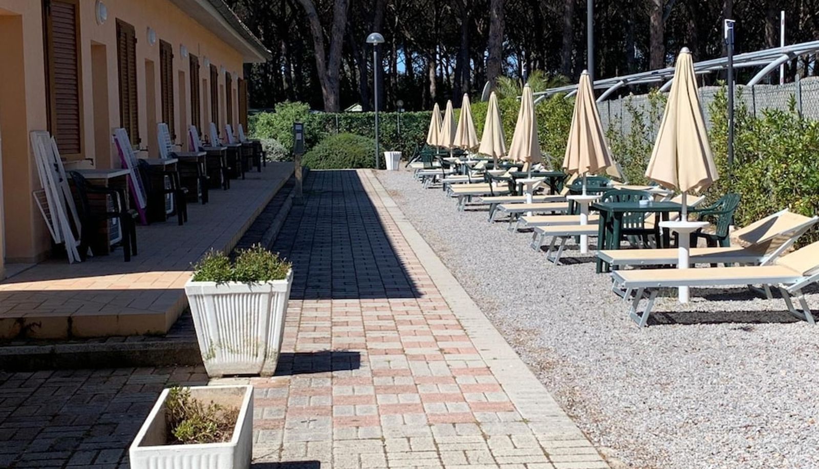 Pool - Hotel Le Palme