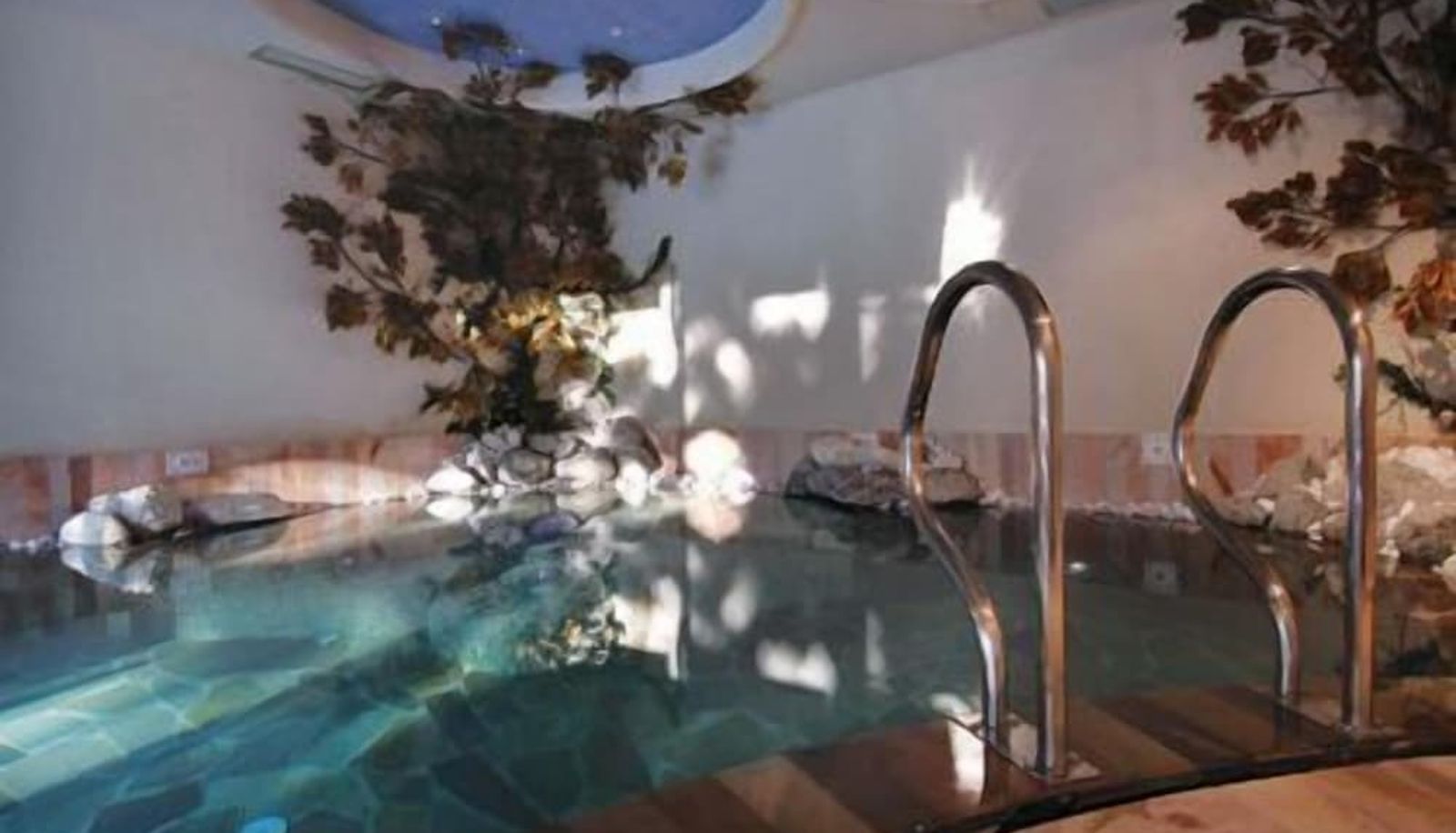 Piscina - AlpHotel Taller