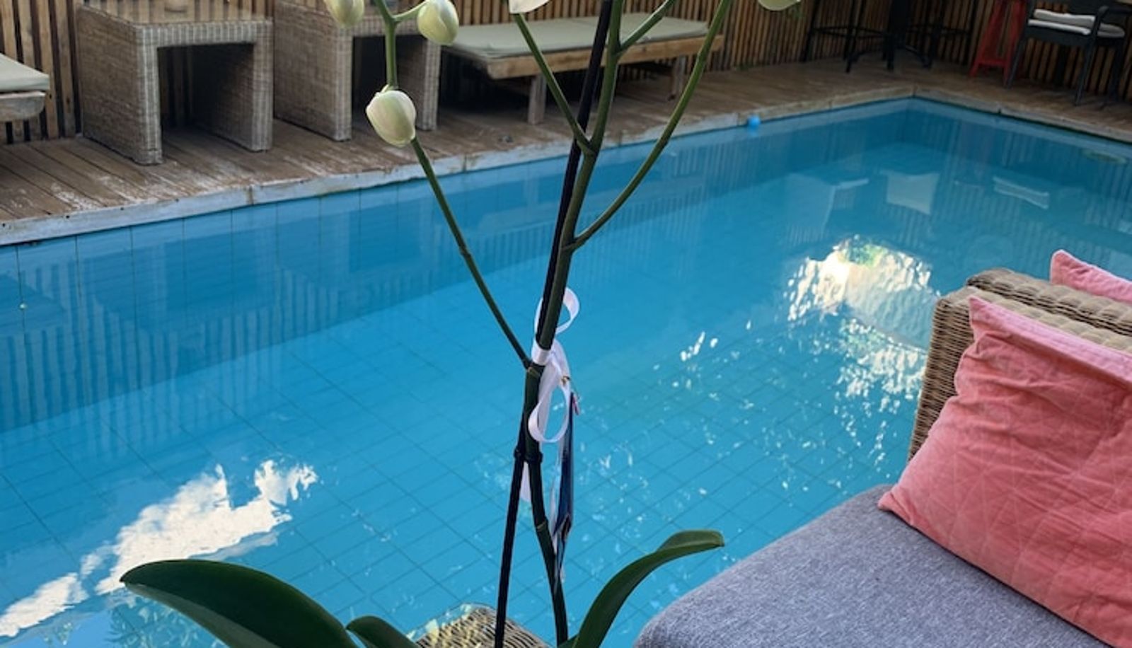 Pool - The Suite Apart Hotel Kaleiçi
