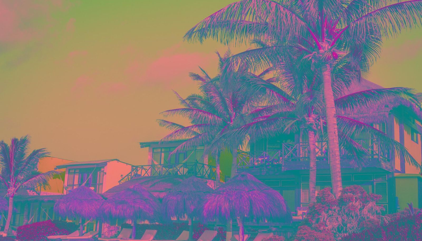View - El Pez