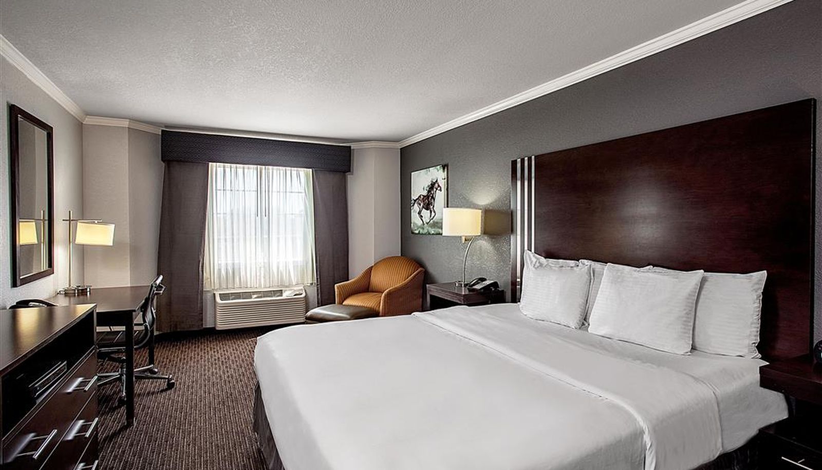 Room - La Quinta Inn & Suites by Wyndham Davis