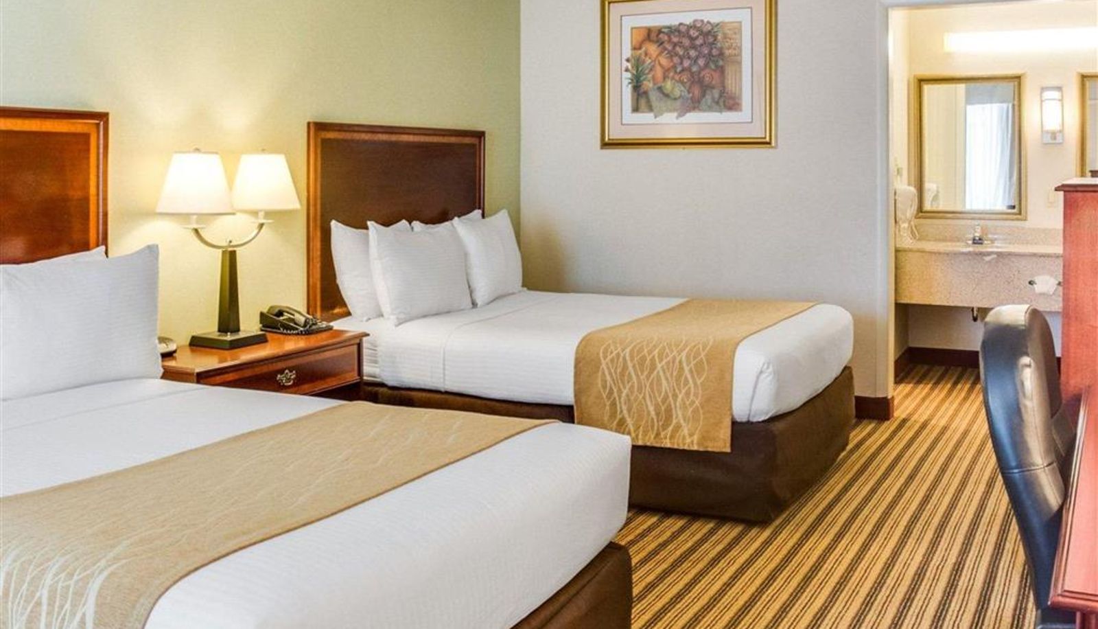Zimmer - Clarion Inn Fredericksburg North