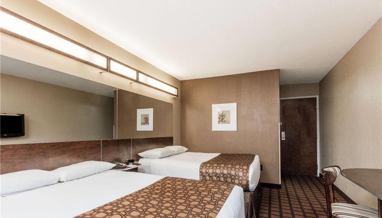 Zimmer - Microtel Inn & Suites by Wyndham Macon